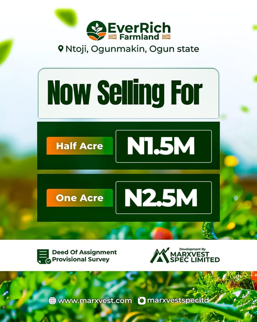 Home whatsapp image 2026 02 19 at 11.10.53 am (1)